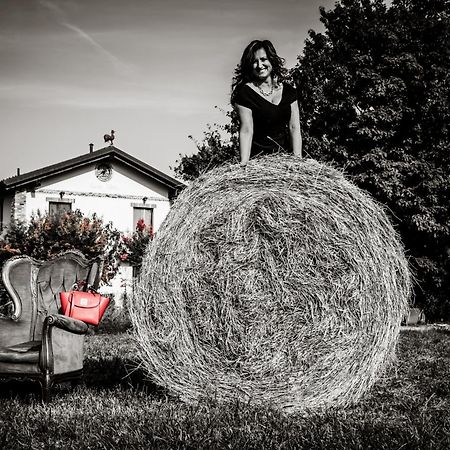 Agriturismo Parco Campofelice Panzió Lombardore Kültér fotó