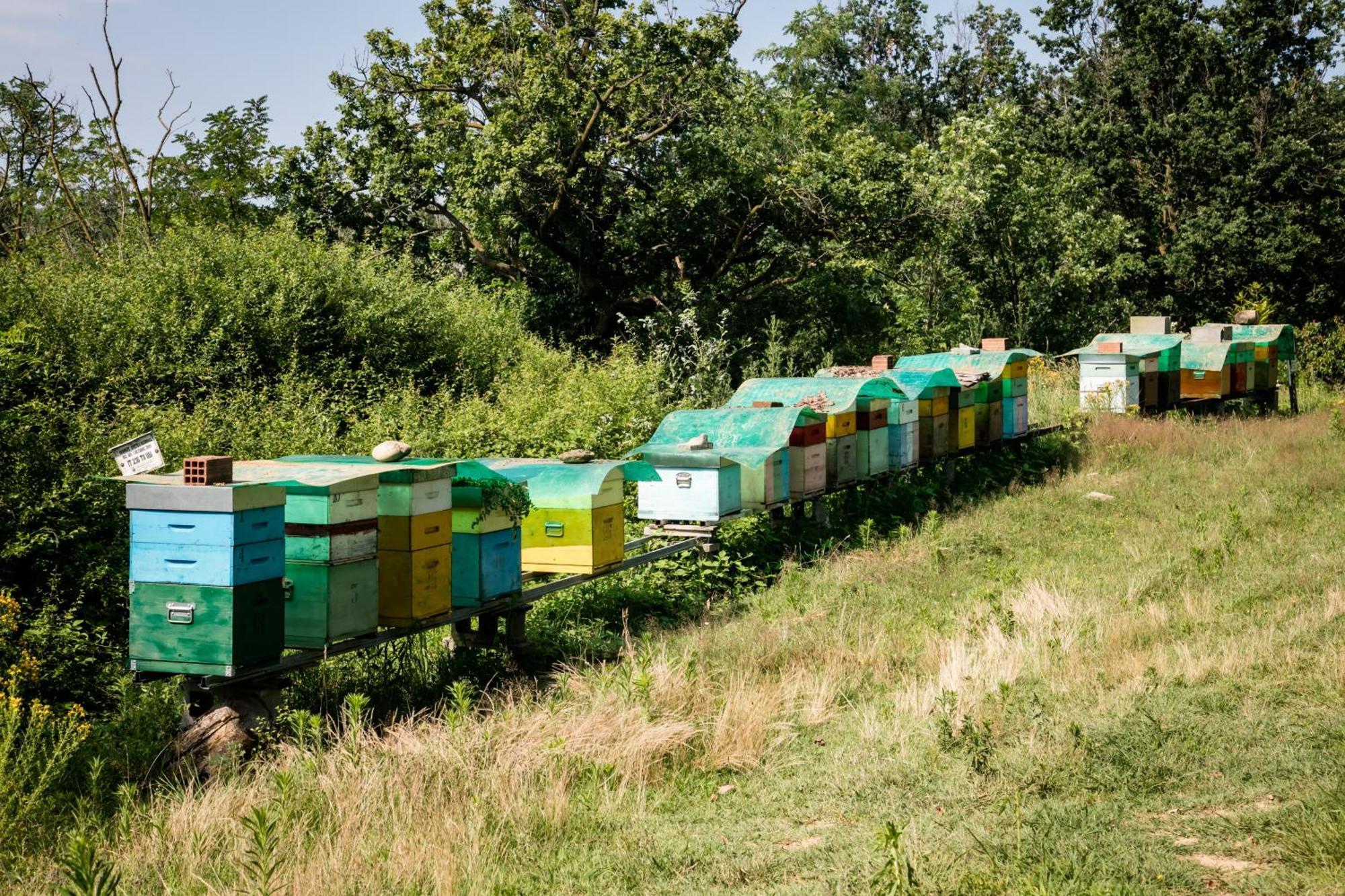 Agriturismo Parco Campofelice Panzió Lombardore Kültér fotó