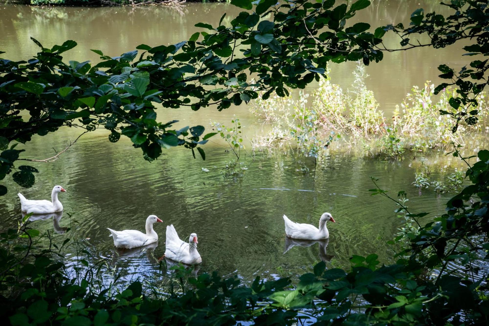 Agriturismo Parco Campofelice Panzió Lombardore Kültér fotó