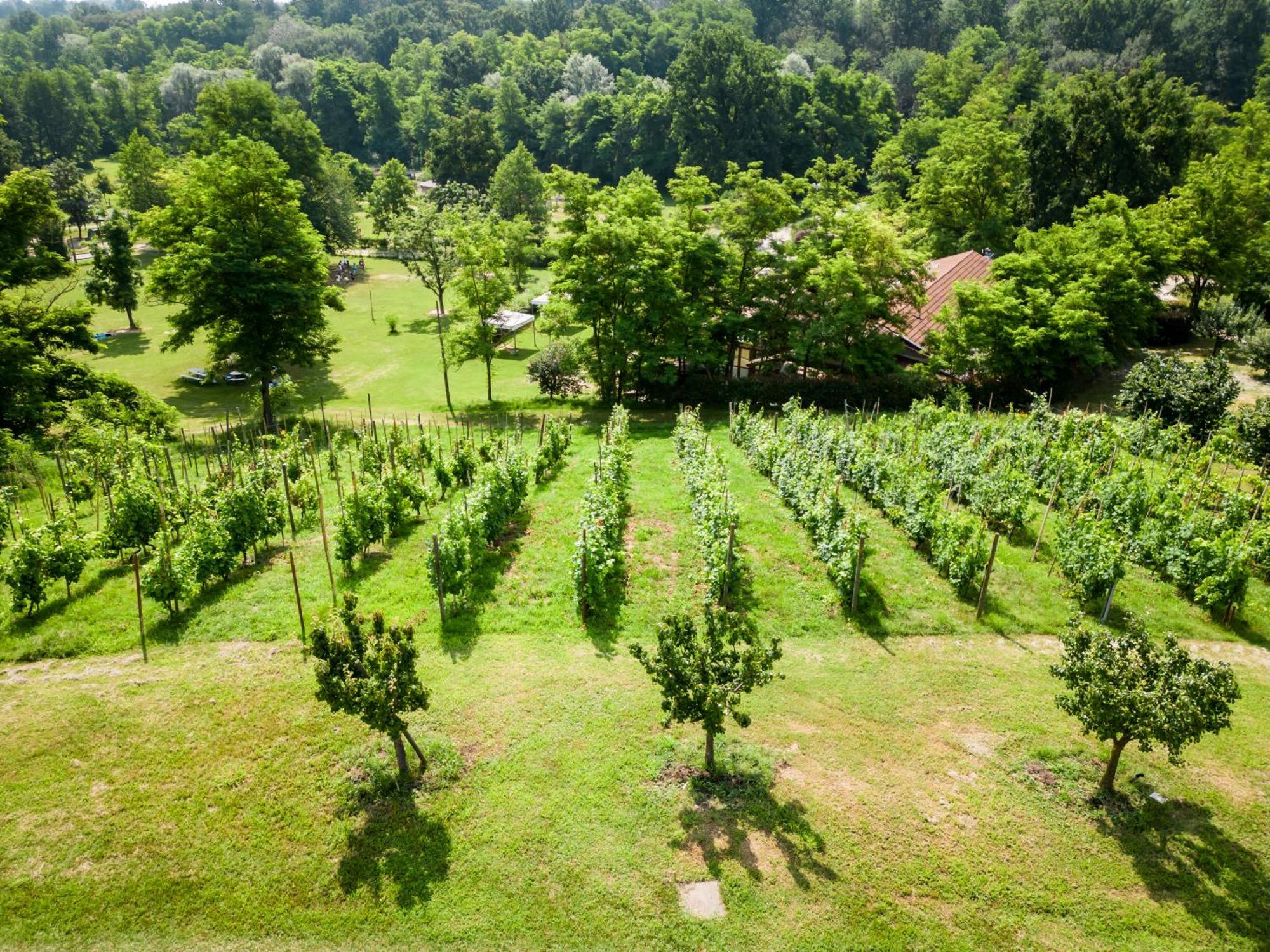 Agriturismo Parco Campofelice Panzió Lombardore Kültér fotó