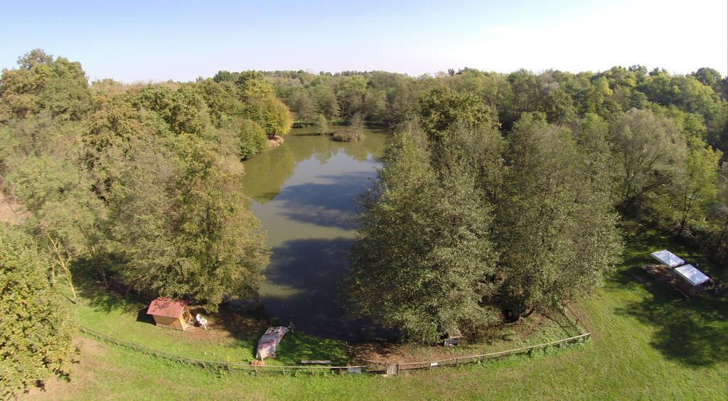 Agriturismo Parco Campofelice Panzió Lombardore Kültér fotó